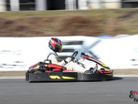 IMG 5380