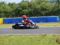 IMG 7003