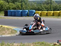 IMG 7036