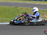 IMG 7082