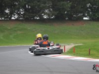 IMG 0556