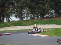 IMG 0748