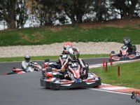 IMG 0755