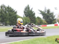 IMG 0768