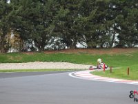 IMG 0770