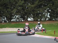 IMG 0774