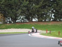 IMG 0779