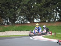 IMG 0781