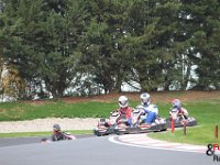 IMG 0783