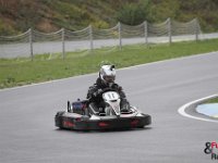 IMG 2954