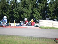 IMG 9028