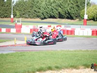 IMG 9037