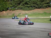 IMG 9161