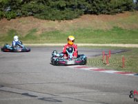 IMG 9172