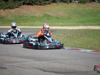 IMG 9174