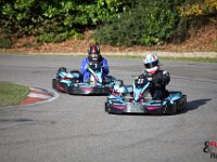 IMG 9204