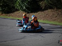 IMG 9231