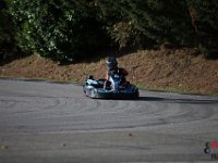 IMG 9246