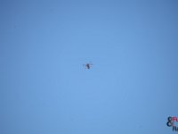 IMG 9380
