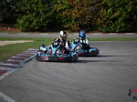 IMG 9417