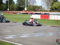 IMG 9558