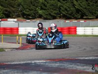 IMG 9638