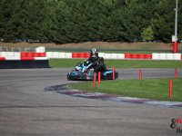 IMG 9751