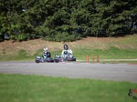 IMG 9782