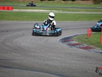 IMG 9914