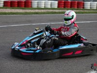 IMG 9951