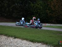 IMG 9964