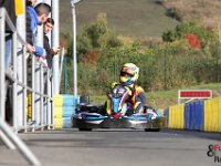 IMG 2544