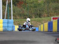 IMG 2556