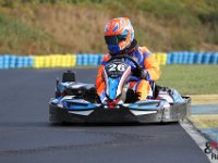 IMG 2584