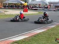 IMG 4461