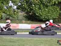 IMG 4626