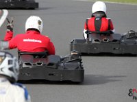 IMG 4648