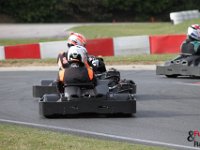 IMG 4650