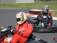 IMG 4729