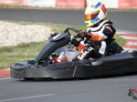 IMG 4740