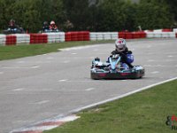 IMG 4967