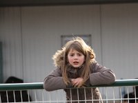 IMG 5178