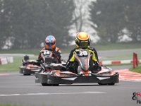 IMG 2528
