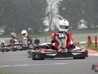 IMG 2531