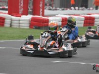 IMG 2568