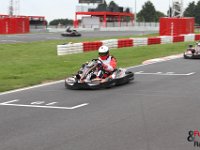 IMG 2975