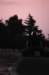 dsc_7850_small.jpg