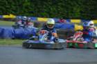 dsc_0239_small.jpg