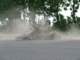 dsc06354_small.jpg