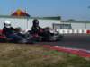 elio018_small.jpg